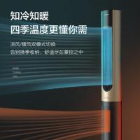 格力(GREE)暖风机 冷暖两用电风扇大面积取暖电暖器遥控落地扇节能两档调节智能定时多重安全保护FLZ-10X61RBg