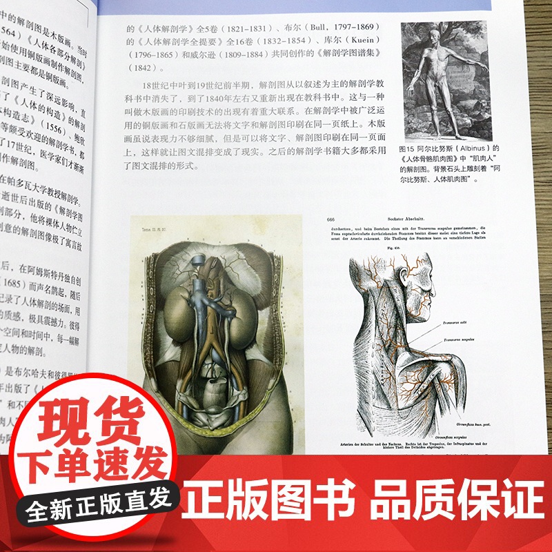 [2册]3D人体解剖图+3D人体解剖百科手册 全彩解剖学图谱人体生理学人体解剖图谱局部解剖学人体解剖学一本书读懂人体知识高清大图
