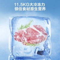 容声(Ronshen)300升家用商用卧式大冷冻柜 冷藏冷冻转换 大容量 一级能效(珍珠白)BD/BC-300ZMSM