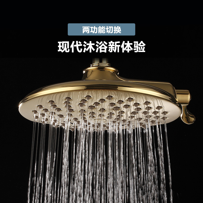 摩恩欧式金色淋浴花洒套装家用淋雨喷头沐浴花洒套装淋浴器16132P