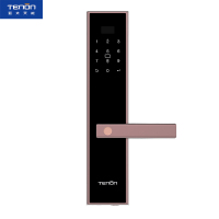 亚太天能(TENON)微信智能指纹锁锌合金家用指纹密码锁电子门锁E2w 暗金芒(标准版)适配ios;Android