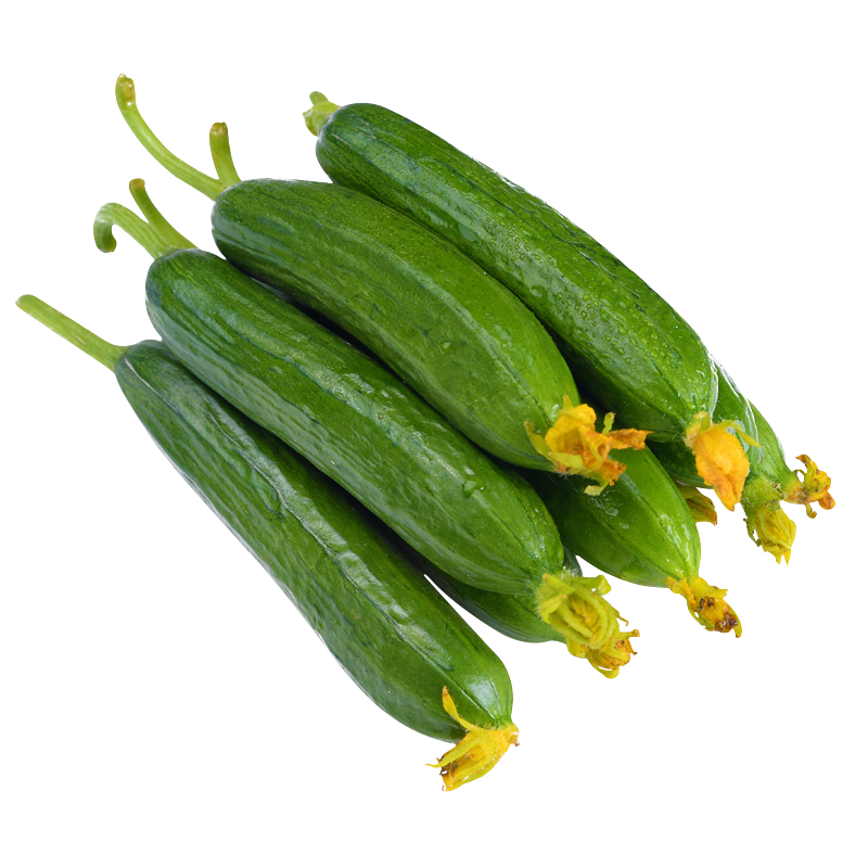 新鲜水果黄瓜无刺小青瓜3斤装甜嫩脆青瓜荷兰小黄瓜无需削皮