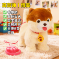 儿童毛绒玩具狗狗走路会叫电动婴儿会唱歌跳舞的仿真电子小狗男孩 充电电池版 高富帅黄色丨舔舌头+触摸感应+唱歌+学说话