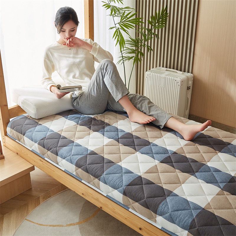 水洗棉单边宿舍床垫高清大图