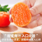 鲜贝达 广西砂糖桔带箱5斤装精品果新鲜水果橘子沙糖桔