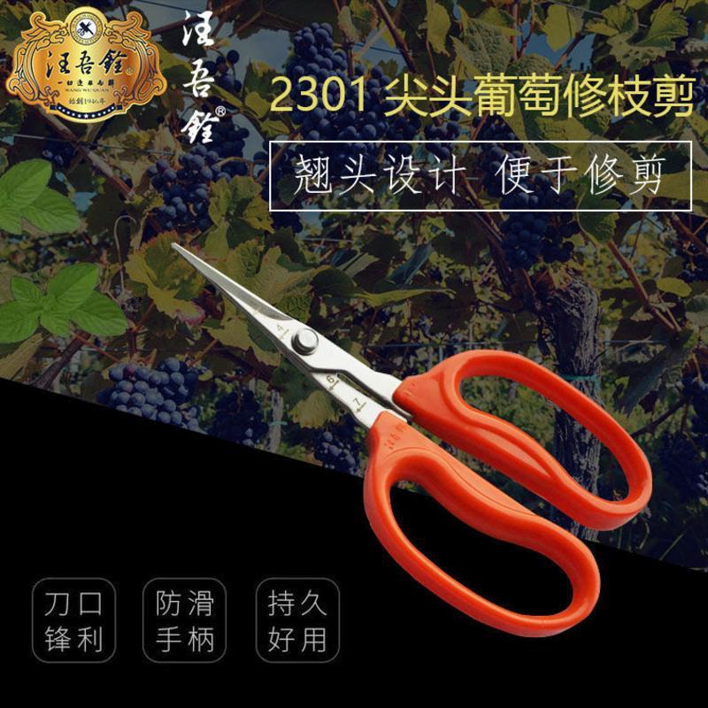 汪吾铨剪刀修葡萄剪镊剪带镊子夹葡萄专用剪子荔枝剪蔬果剪摘果剪 SS125尖直头小号葡萄剪(调松款)
