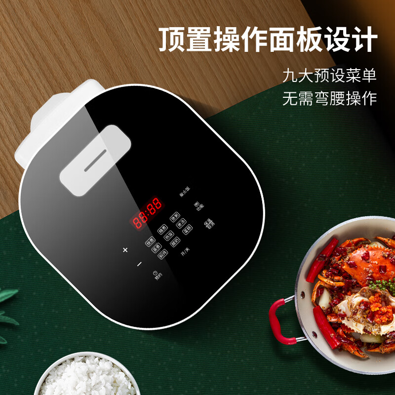 创维多功能电饭煲F69高清大图
