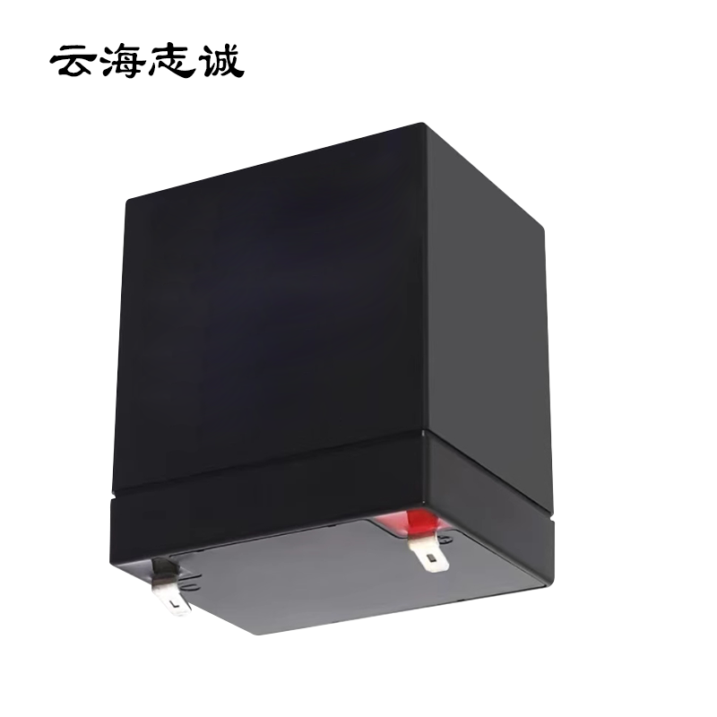 阀控式密封铅酸蓄电池 NP12-5Ah 1只高清大图