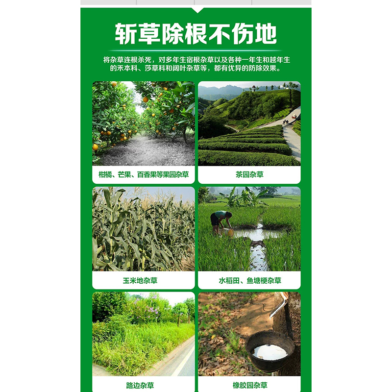 30%草甘膦异丙胺盐除草剂 200g/瓶
