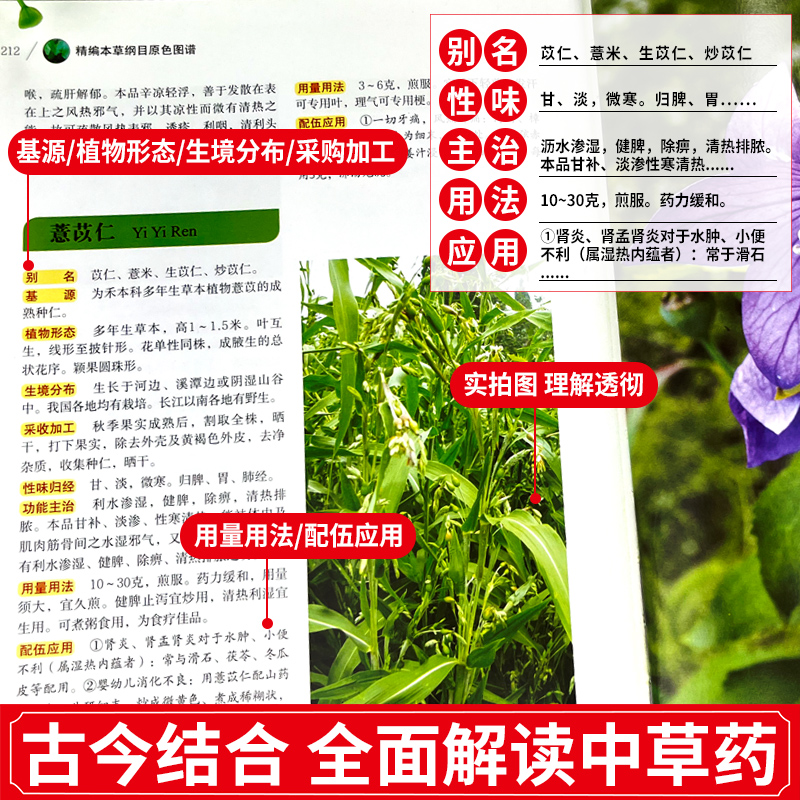 [5册]本草纲目3原色图谱3册+禁忌+鉴别 [正版]全书实拍本草纲目 精装原版全套李时珍中草药彩图大全书中医基础理论大全高清大图