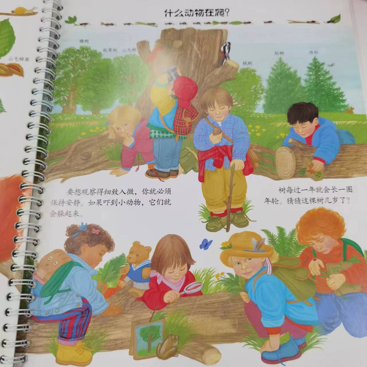 [正版]妙趣科学儿童版 38幼儿园 我的第一套科学启蒙书 德国科普童书冠军 风靡欧洲16年 销量超1900万册 北京科高清大图