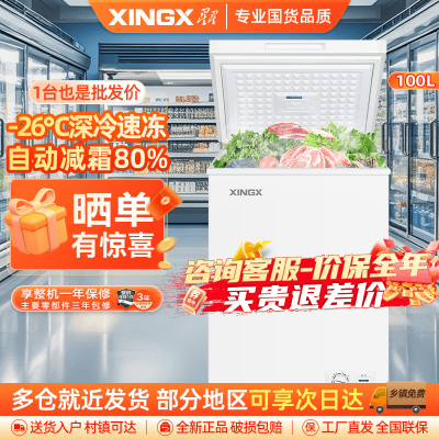 星星（XINGX）BD/BC-100E 单温冰柜 厨房商用保鲜设备
