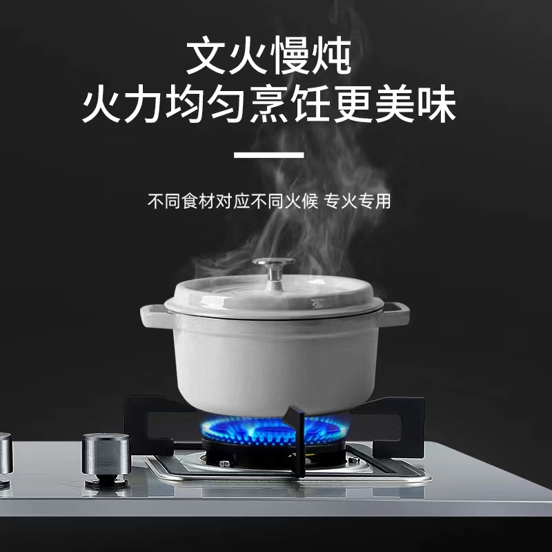 法迪欧燃气灶不锈钢面板JZT-2G301高清大图