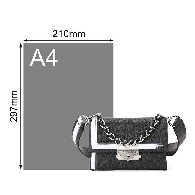 MICHAEL KORS 迈克科尔斯 MKLOGO斜挎包 单肩包32S0S0EC0B 银扣图片