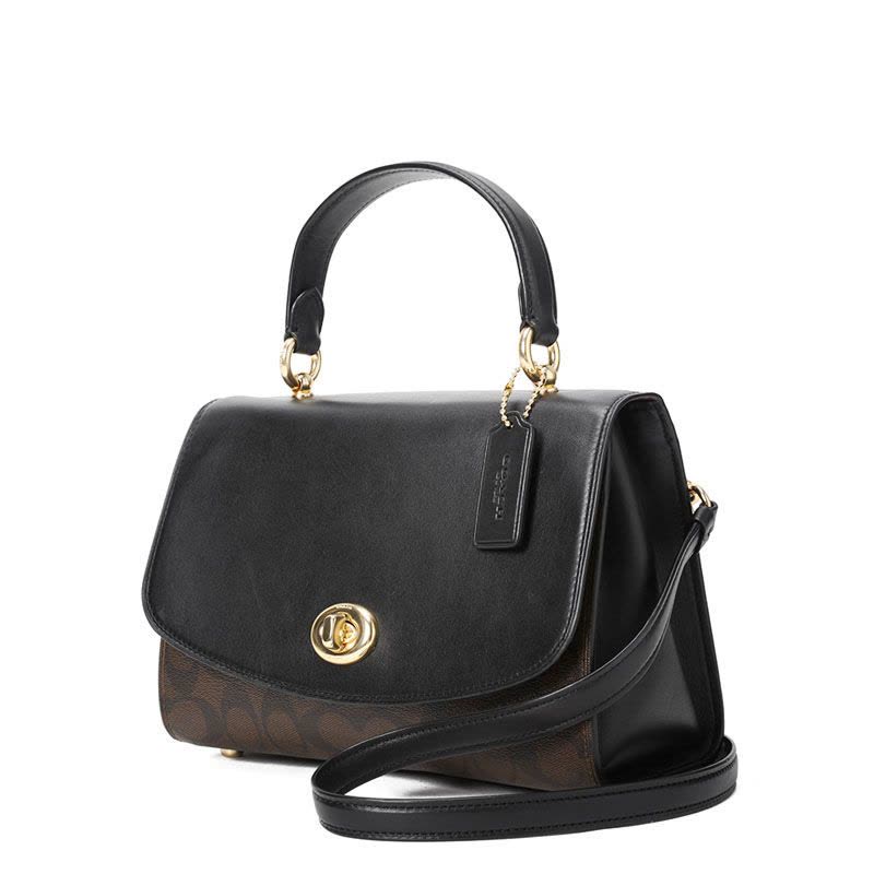 Coach PARKER 手提单肩包 F76620图片