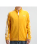 ADIDAS(阿迪达斯)2020秋男式夹克/外套GD5241