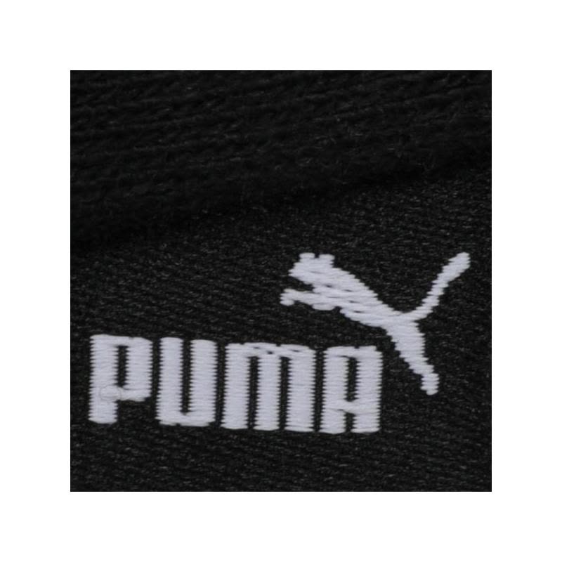 PUMA(彪马)Big Logo Hoody TR秋季男子针织卫衣580566-01图片