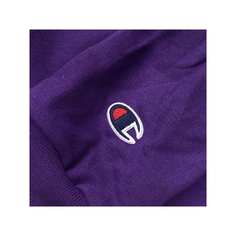 champion 经典美版秋装卫衣 S700袖标刺绣连帽男女秋冬穿搭情侣帽衫 加绒 S700PR图片