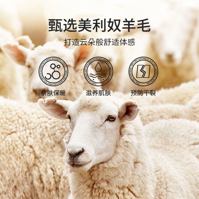 德绒保暖背心女带胸垫发热羊毛V领毛圈加绒撞色秋冬打底马甲图片