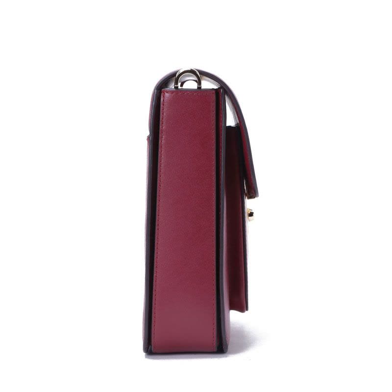 Michael Kors/迈克·科尔斯 女士SLOAN竖版方形斜挎包 30F7GS9M3L 20x21x6CM图片