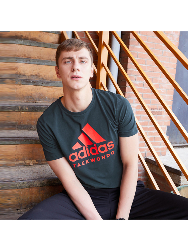 Adidas阿迪达斯跆拳道短袖18速干透气运动休闲T恤ADICTT-BUR-1