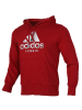 ADIDAS(阿迪)2019Cat Hoodie M冬季男子套头衫FJ3888
