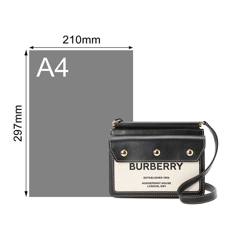 BURBERRY 博柏利 Title 口盖包迷你 字母徽标帆布织物8031901图片
