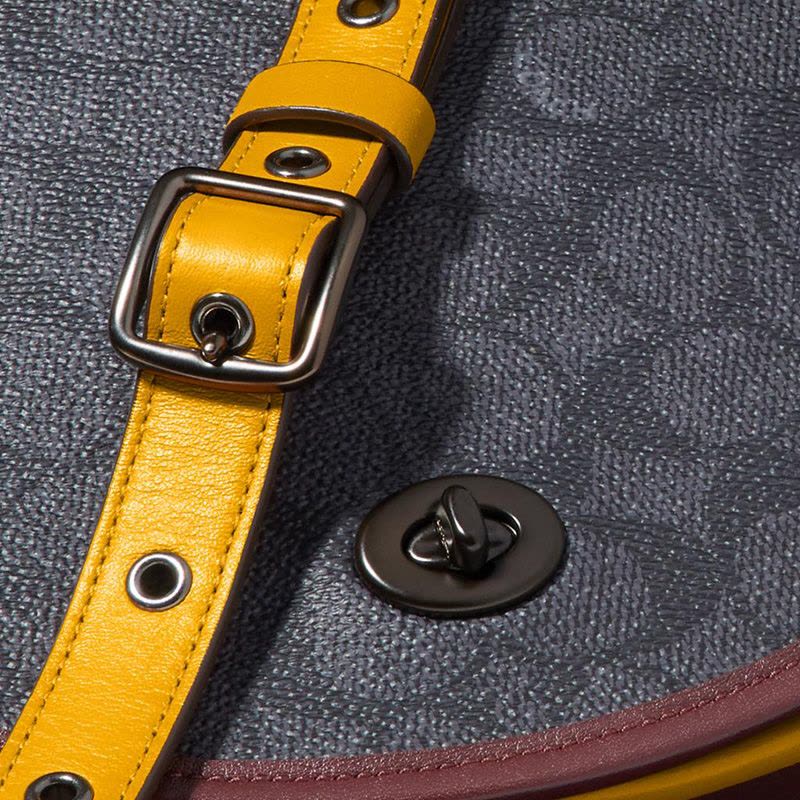 【预定】COACH/蔻驰Saddle 旋转扣单肩包 拼色195 22*19*7CM图片
