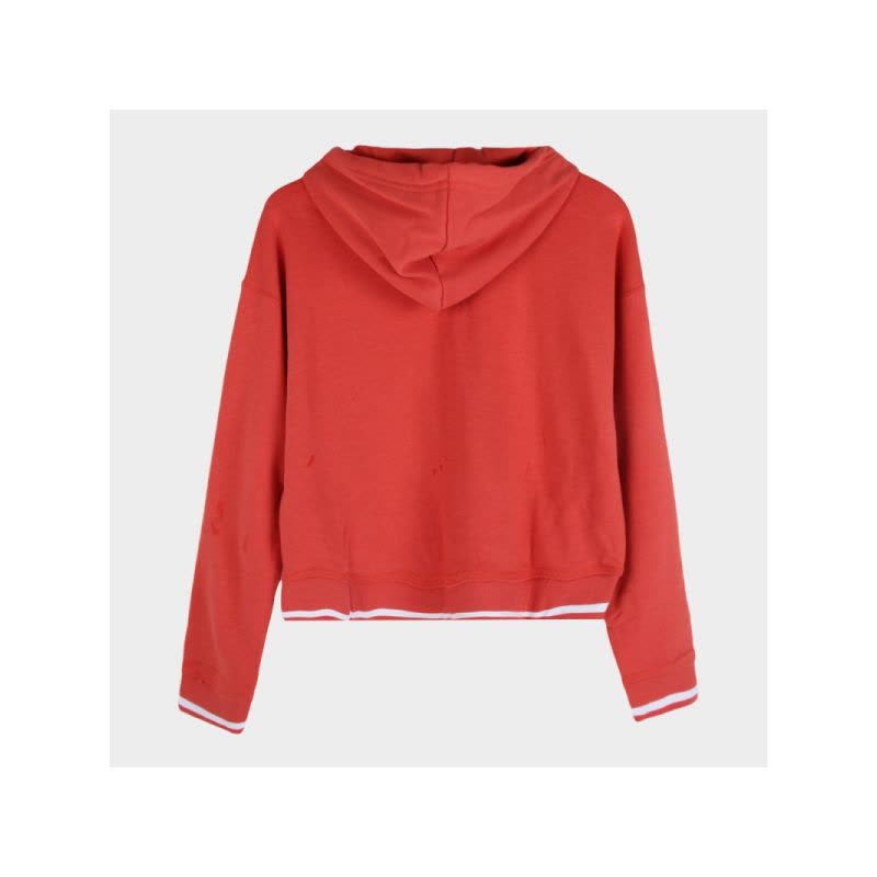 adidas阿迪达斯三叶秋季女子保暖舒适时尚套头衫卫衣DH2944图片