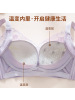 蕾丝内衣女小胸聚拢舒适无痕透气收副乳防下垂无钢圈调整型文胸罩