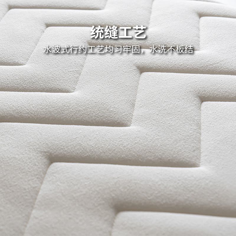 乳胶床垫租房软垫家用双人加厚榻榻米睡垫床褥子学生宿舍单人垫被图片