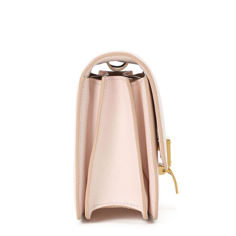 【预定】CELINE/思琳 Classic 单肩包 小号 软木纹 18918图片