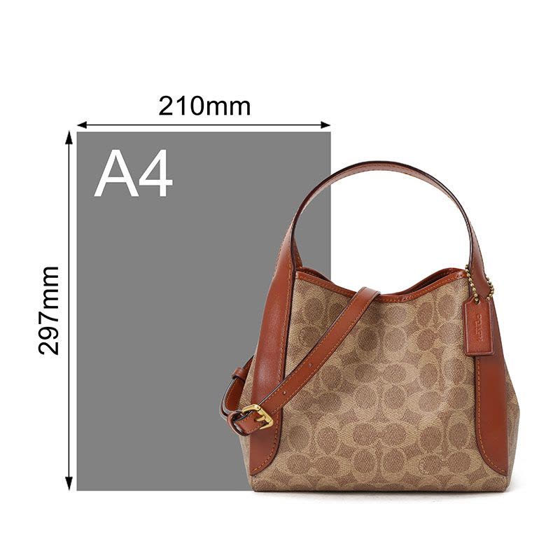 COACH 蔻驰 HADLEY购物袋 单肩包 斜挎包 老花拼皮金扣79251图片