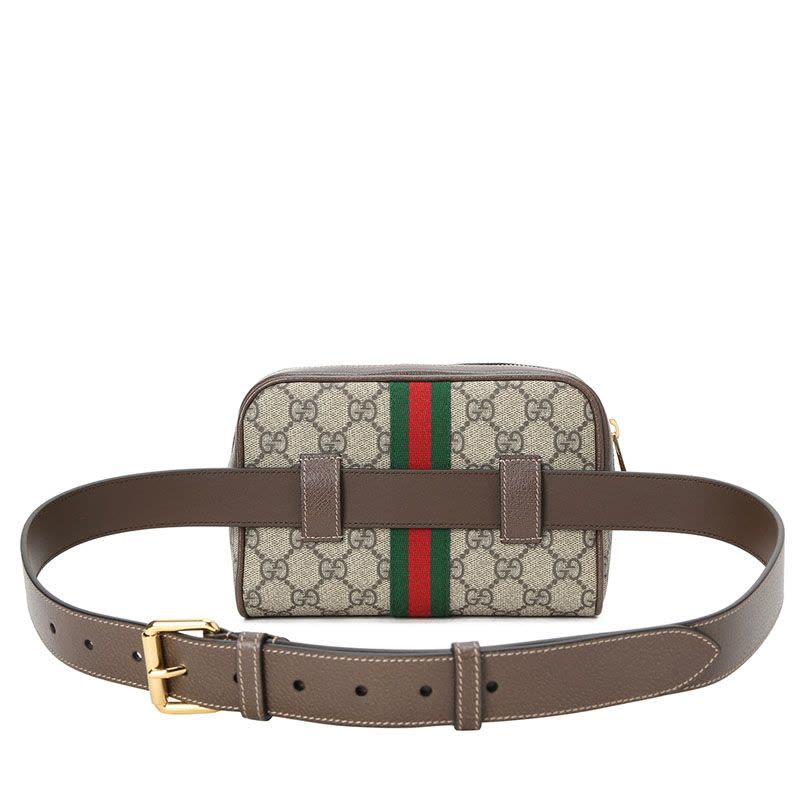 古驰GUCCI Ophidia 腰包\胸包小号 双G饰扣老花517076 女士斜挎包 金扣图片