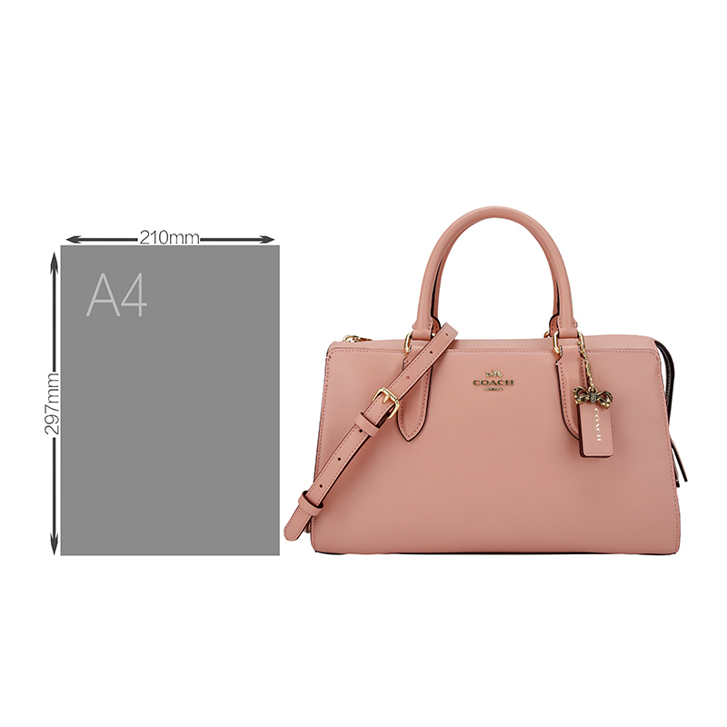 COACH 蔻驰 奢侈品 女士专柜款粉色皮革手提单肩斜挎两用包 39290 GD/PY