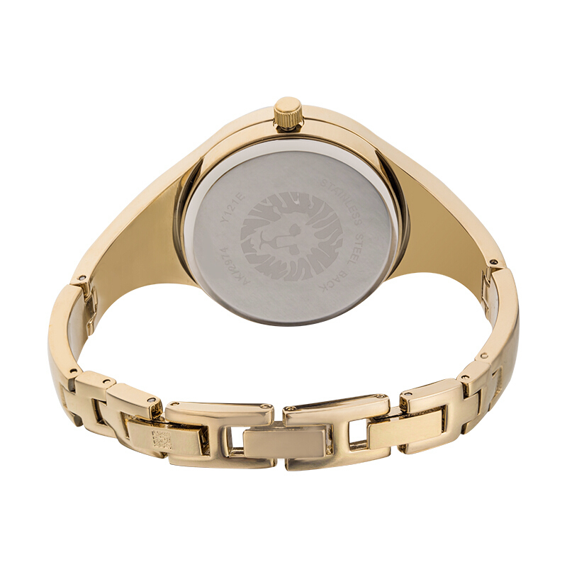 安妮克莱因anneklein摩登复古系列复古个性时尚石英女士手表ak2974nv