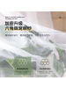 Ceba抖音同款网红折叠蚊帐 2022夏季新款宿舍免安装文帐 上铺上下铺