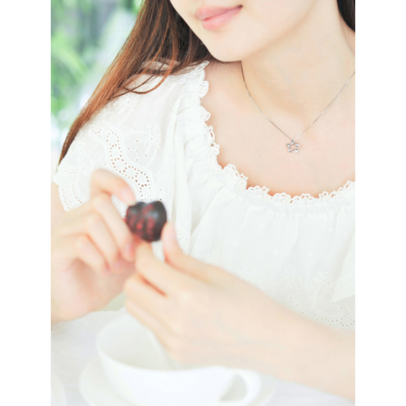 Zbird/钻石小鸟吊坠PT950铂金吊坠女款项坠不含链-绽梅