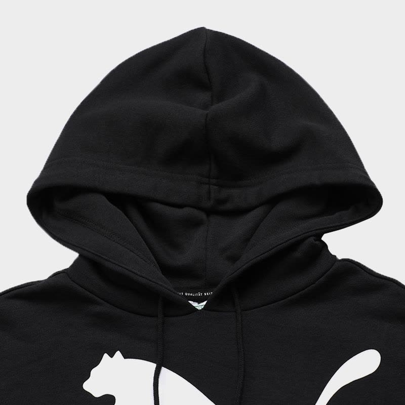 PUMA(彪马)2020Classics Logo Hoody Regul冬季女子针织卫衣图片