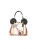 蔻驰COACH DISNEY X KEITH HARING 女士手提包 4719