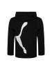 PUMA(彪马)Big Logo Hoody TR秋季男子针织卫衣580566-01