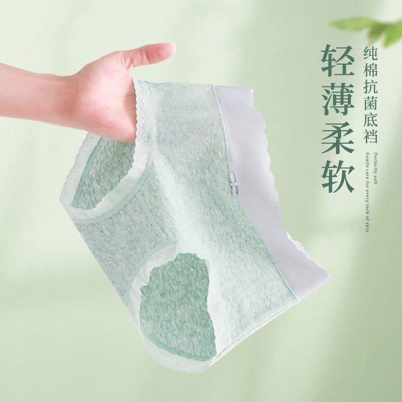 [全员店]无印染彩棉女士内裤 无痕舒适三角裤 100%全棉裆内裤女图片