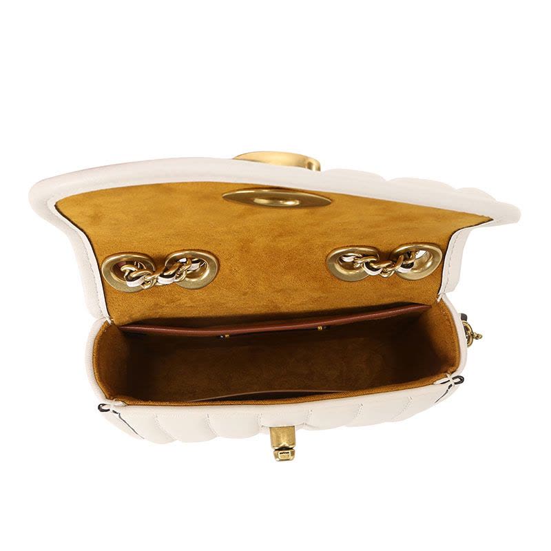 蔻驰COACH 4870 女士单肩斜挎手提包图片