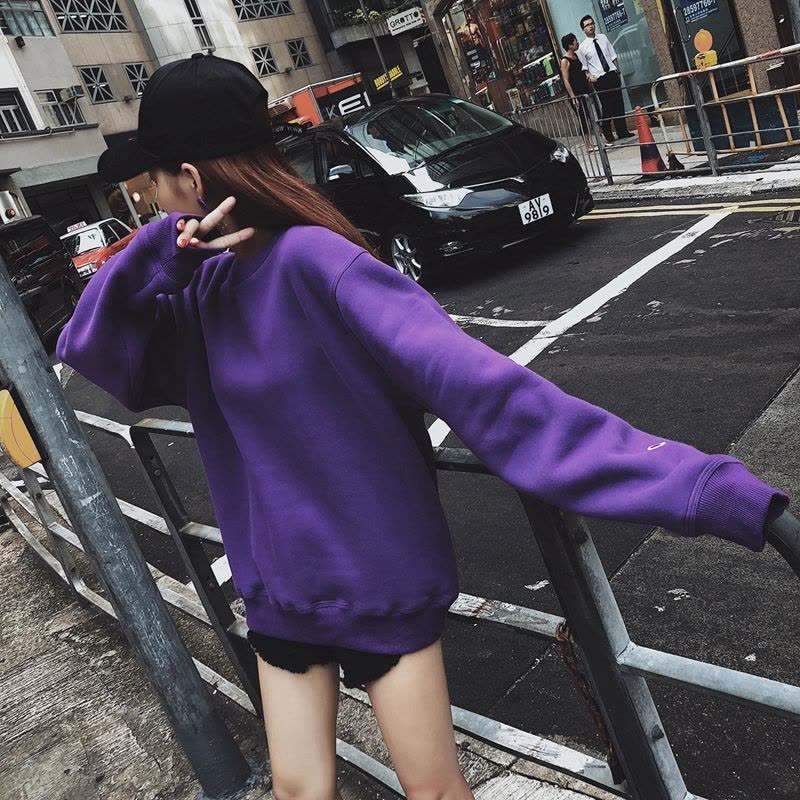 champion 经典美版秋装卫衣 S700袖标刺绣连帽男女秋冬穿搭情侣帽衫 加绒 S700PR图片