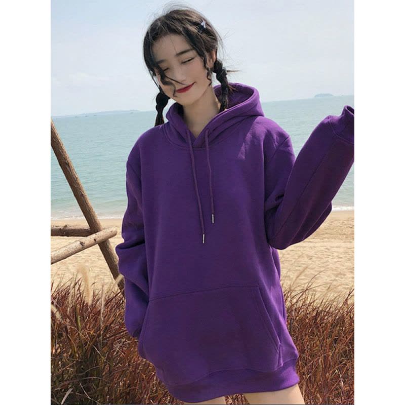 champion 经典美版秋装卫衣 S700袖标刺绣连帽男女秋冬穿搭情侣帽衫 加绒 S700PR图片