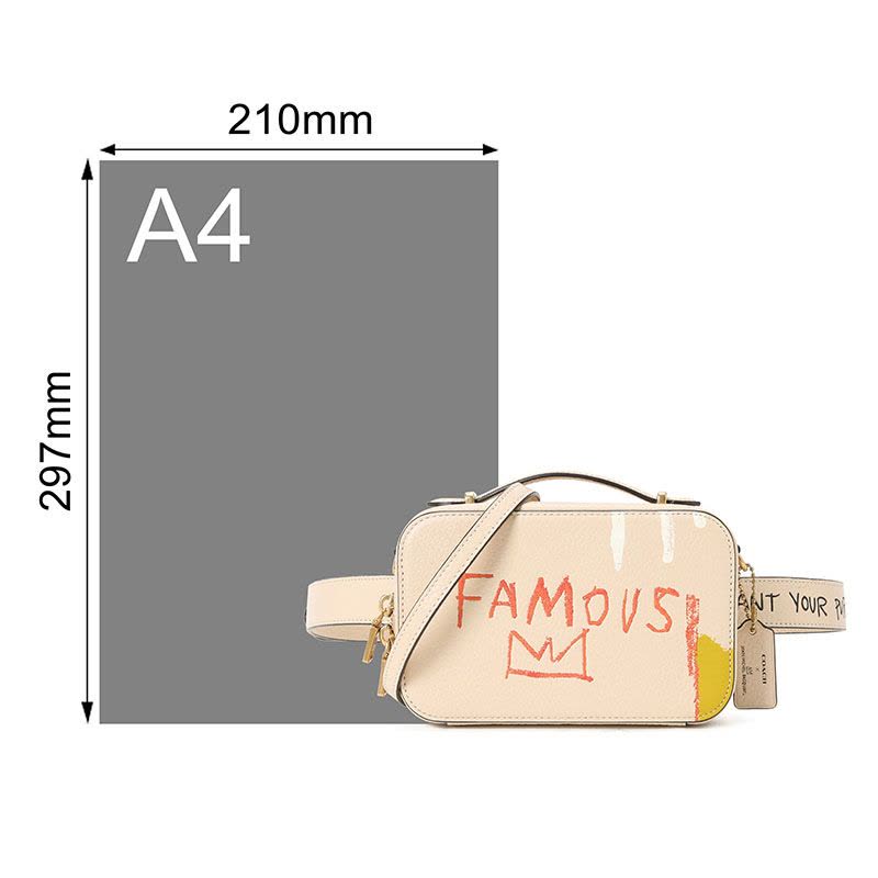 COACH 蔻驰 ALIE相机包 单肩包 斜挎包 光面皮金扣6915图片