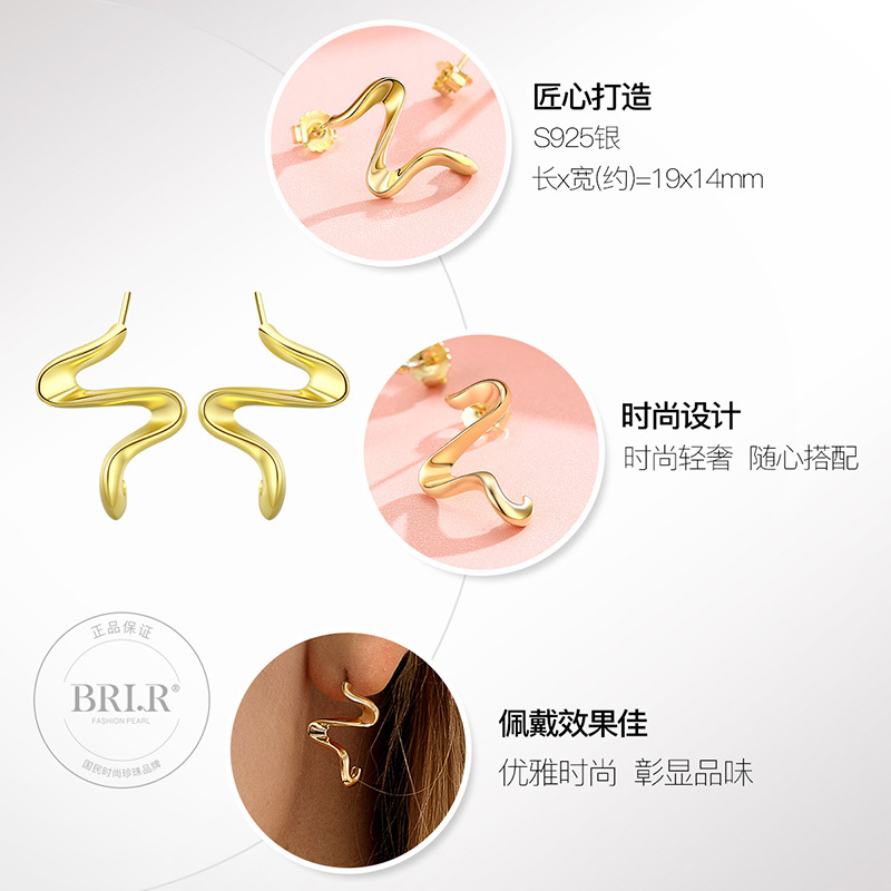 佰色传情耳钉女纯银2020新款潮网红气质耳饰品法式高级感耳环