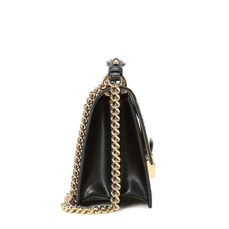 预订 FENDI芬迪 KAN U链条包小号 FF标识老花款8M0417金扣图片