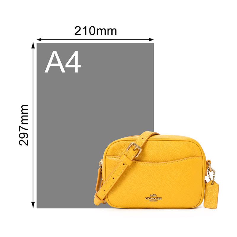 COACH 蔻驰 女包 单肩包 斜挎包 2879图片