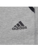 ADIDAS(阿迪)春季女子针织休闲长裤BR3844